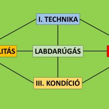 Gondolatok az edzőképzésről, Huszti menesztése okán